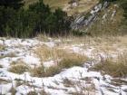 Velebit2 '11 038
