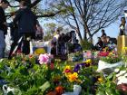IMG-20190401-WA0057