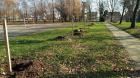 Img_20211124_115827_optimized
