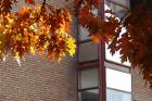 Lana_masic_jesen
