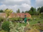 Uenici U Gartenreiu