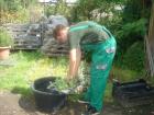 Uenici U Gartenreiu