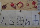 SAM_0864