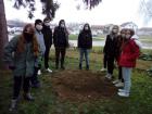 IMG-20201126-WA0004