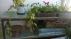 IMG-0291f4544499c5121b02609ea94513e3-V