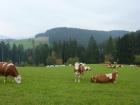 Agroturizam Na Austrijski Nain