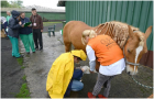 Rad Veterinarskih Tehiara U Svim Vremenskim Uvijetima