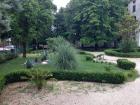 Kino I Hladno Jutro