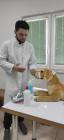 kolsko Natjecanje U Disciplini Veterinarski Tehniari