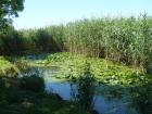 Ohridsko Jezero