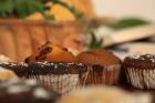 Dani_kruha_2011_22