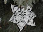 ORIGAMI BOINI UKRAS NA BOINOM DRVCU