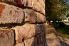 Another Brick In The Wall
Autor Matej Ljiljani, 2.Kom
