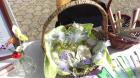 IMAG3561 (Small)