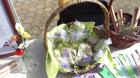 IMAG3562 (Small)