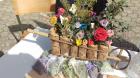 IMAG3566 (Small)