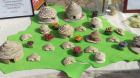 IMAG3569 (Small)