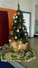 IMG_20161206_122335 (2)