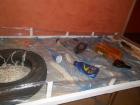 OIEna PlaA_2