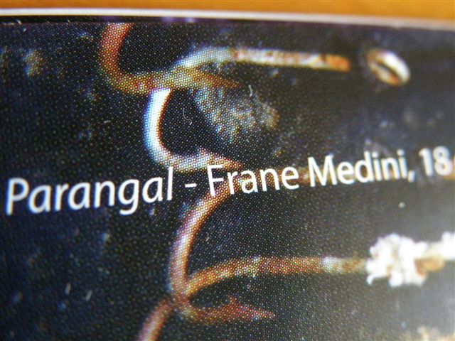 Fotografija ''Parangal'' Frane Medinija u kalendaru Delegacije EU RH za 2010