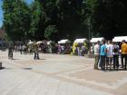 Vje#U017ebeni#U010dkaTvrtka_042