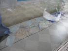Me#U0111unarodniDanRijetkihBolesti_002