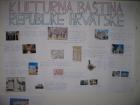 Kulturna Ba#U0161tina_003