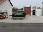 PA230851