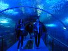 Aquarium San Sebastian