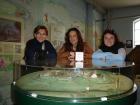 Trowbridge Museum