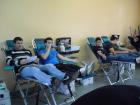CIMG4008