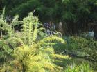 IMG_1691