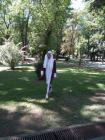 IMG_20170519_105148