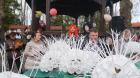 DSC02261