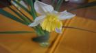DSC09600