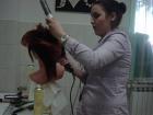 Frizeri_2014_08