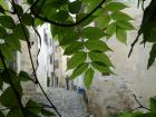 DSC00530
