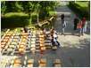 P6080012 (Small)