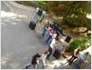 P6080021 (Small)