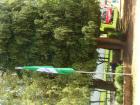 Zelena 493