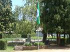 Zelena 494