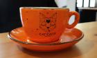 16. Cat Caffe_1024x620