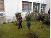 Hortikultura