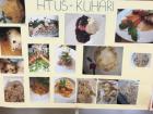 Djela Vrijednih Ruku Naih Kuhara