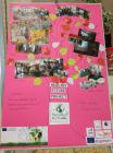 Erasmus+ Projekt Healthy Future