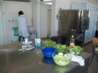 Picture 028