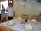 Picture 060