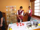 SAM_0342