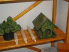 DSC01908