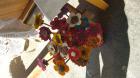 20150912_102500_HDR (Medium)